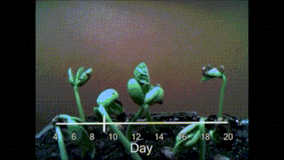 1ade16af-199a-4a06-998b-9c450d2cf347.png